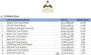 CIS Market on the Rise as Sanlam Tops Unit Trust Rankings