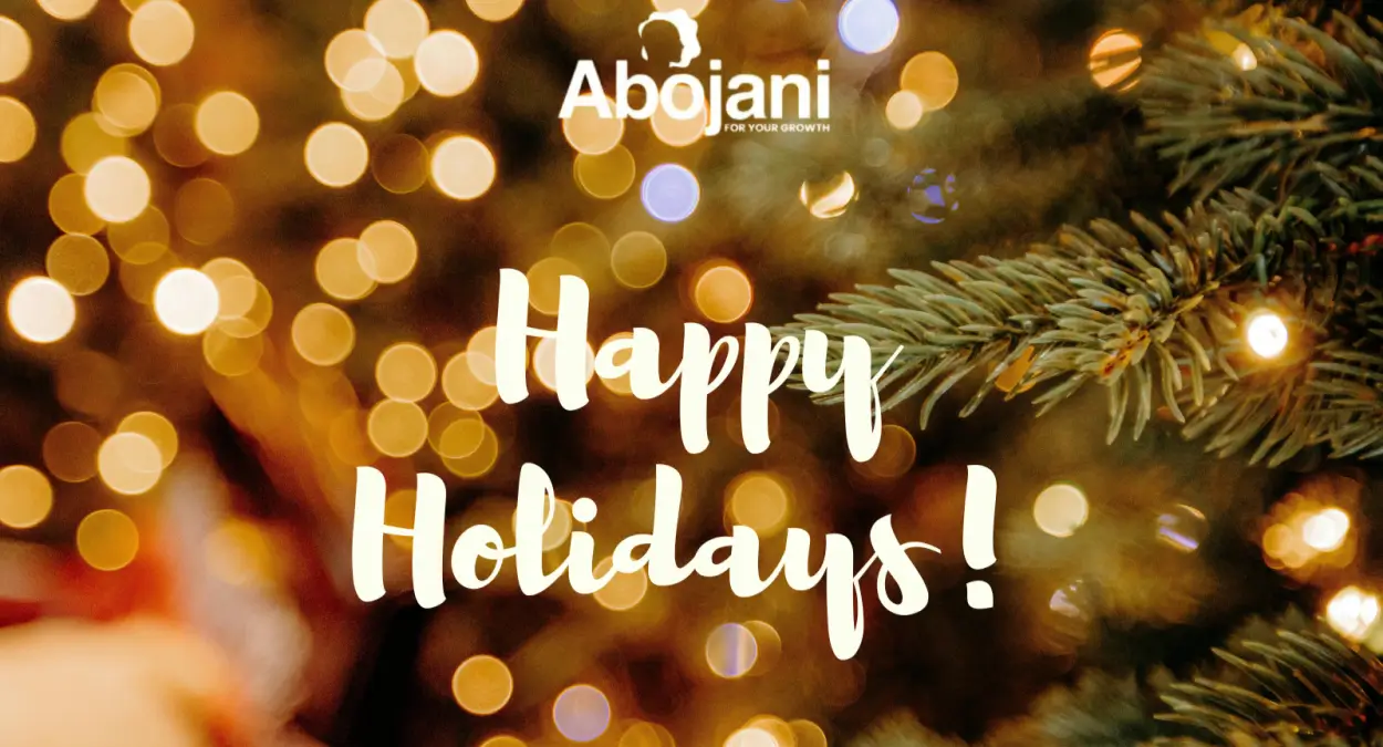 Happy Holidays from Abojani Managing Your Finances During the Holiday Season