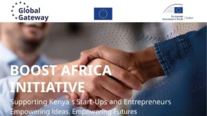 Understanding Boost Africa Intermediaries