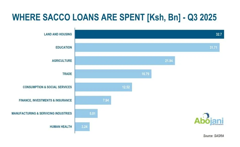 Where Sacco Loans are Spent