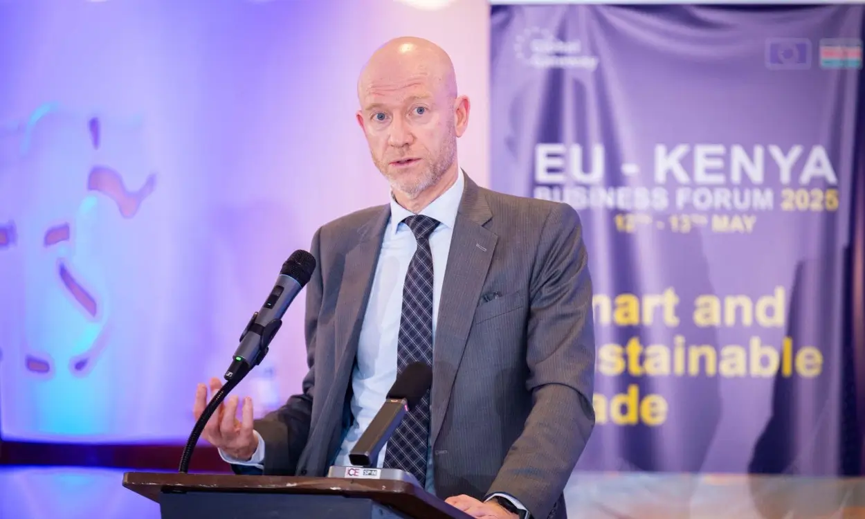 Why Early Stage SMEs Still Struggle to Access Affordable Capital in Kenya and Africa