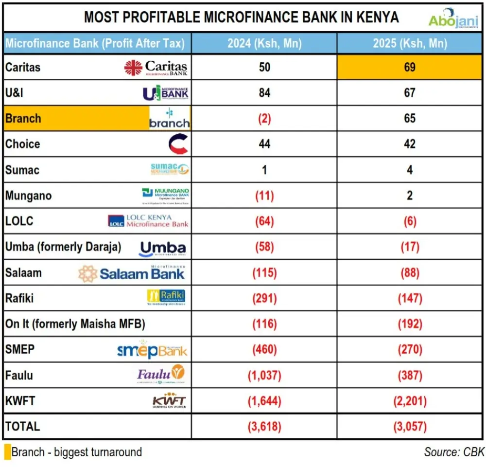 Caritas Leads Microfinance Banks in Profitability